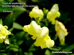 tim_roth_quotes Quotes 4